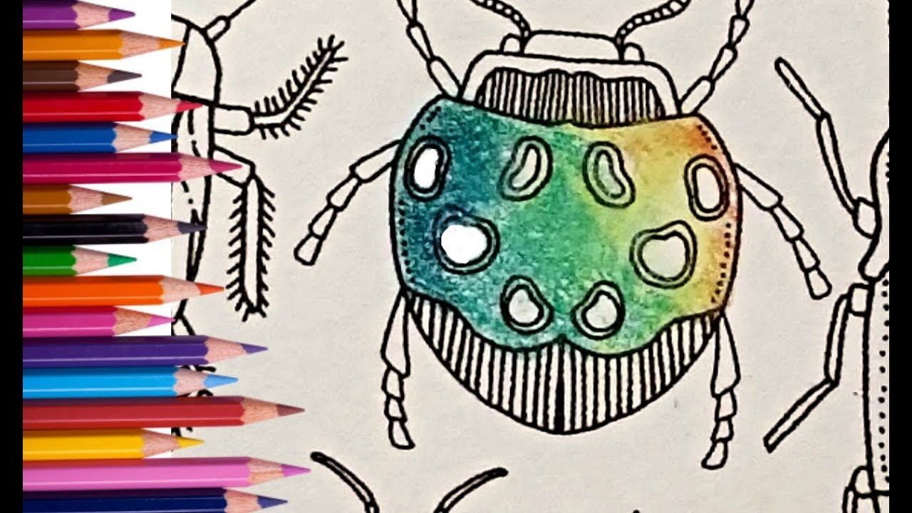 How To Shade Using Cross Hatching