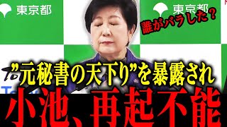 【さとうさおり】※小池百合子の本性が遂に暴露され再起不能…【佐藤沙織里 消費税 東京都議会本会議】
