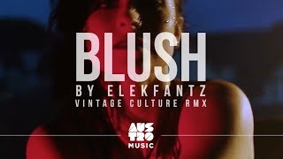 Elekfantz - Blush (Vintage Culture Remix) [Vídeo Oficial]