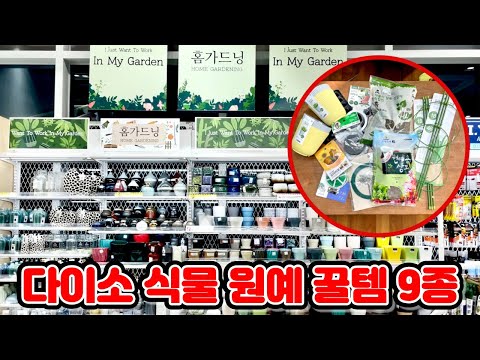 , title : '다이소 식물 키우기 꿀템 9종 리뷰!! 이건 꼭 사야해요!!'