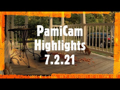 PamiCam Highlights 7.2.21