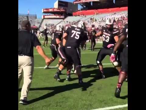 Shawn Elliott is fired up for South Carolina coaching debut
