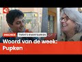 Het Twentse woord van de week: Pupken
