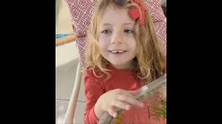 Mud Pie