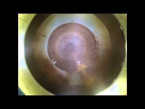 DEXON Video and Sensory Pig VSP