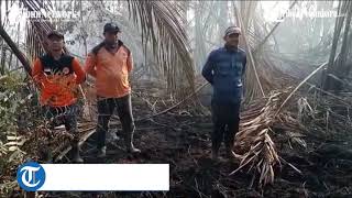 Download lagu Sudah 4 hari Memadamkan api di Meranti, Petugas BPBD Bisa Rayakan HUT Damkar dalam Hutan mp3