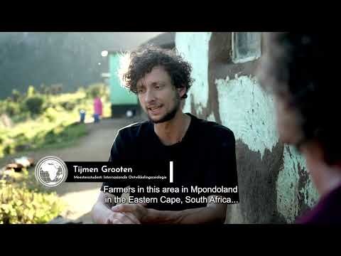 Cannabis Houses Part 3 - S11 EP2