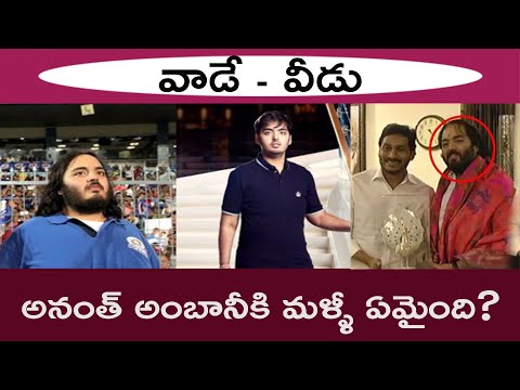 Anant Ambani Before and After Weight Loss Explained in Telugu
