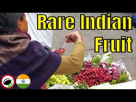 Kaphal Fruit Review (Myrica esculenta) - Weird Fruit Explorer in India - Ep. 311