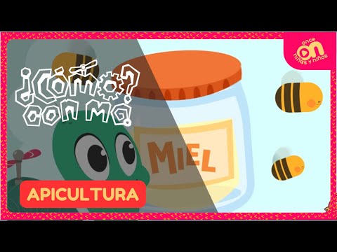Apicultura I ¿Cómo? con Mo. Temporada 3