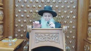 פרשת ויקהל פיקודי |הרב מאיר אבוחצירא