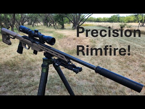 SAVAGE Model 64F 22LR Semi-Auto Rifle REVIEW!!! (BEST Budget Buy!)
