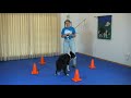 Blog 21 Flirt Pole