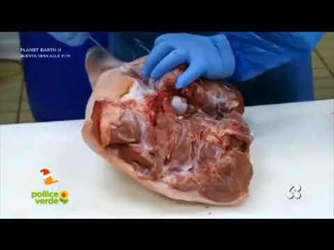 Azienda Mulinello Parola di Pollice Verde