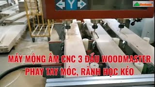 Máy mộng âm 3 đầu Woodmaster phay mặt học, tay móc, rãnh học kéo WM-1500-3CNC