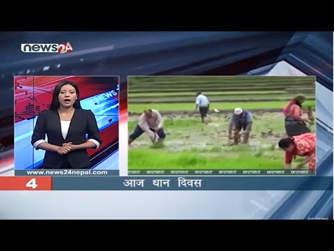 EVENING NEWS FATAFAT - NEWS24 TV