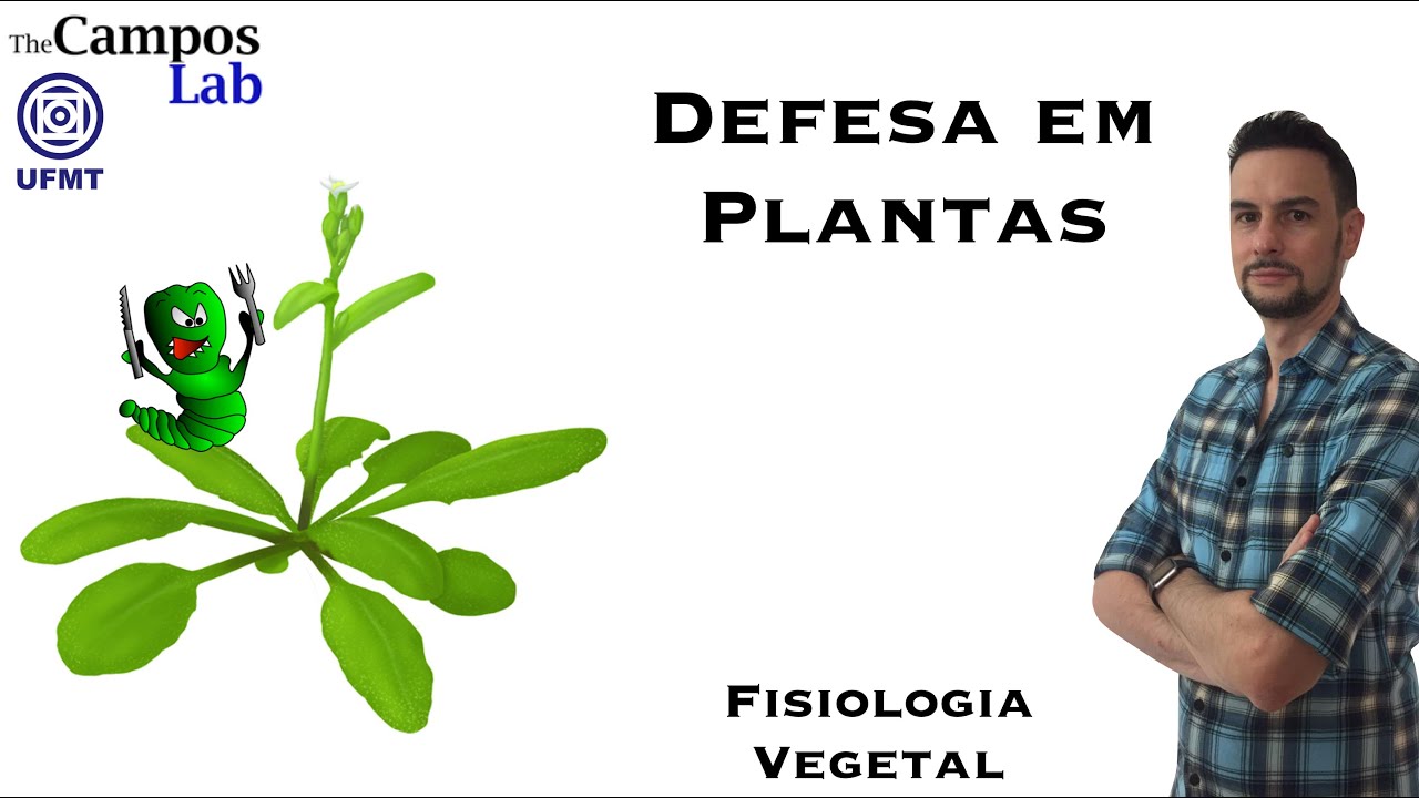 Mecanismos de Defesa em Plantas (1/3): O Dilema Entre Crescer x Defender
