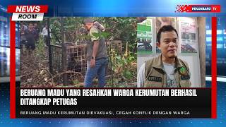 BBKSDA Riau Evakuasi Beruang Madu dari Permukiman Warga Kerumutan