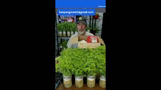 Grow Food Fast Live Demo