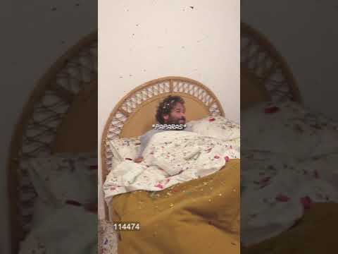 Chelsea Boots - La Cama Llena de Confeti (Pero Tú No Estabas) - Lyric Video