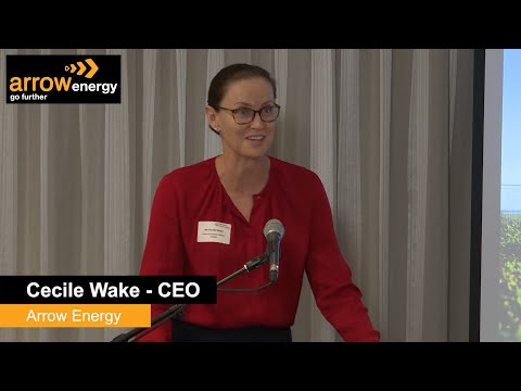 CEO Presentation — GasFields Commission