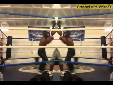 El venado Perez vs negris Perez