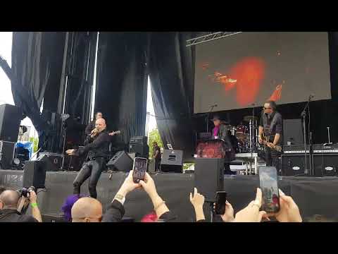 The Arch - Ribdancer - Live in Dark Mad 2023