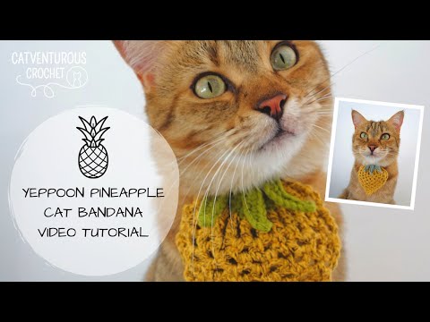 Yeppoon Pineapple Cat Bandana - Catventurous Crochet