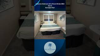 Oceanview Stateroom with a Picture Window 8604 - Deck 8 - Norwegian Pearl