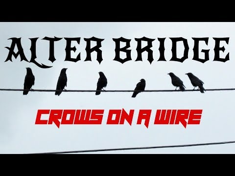 Videoclip de Crows on a Wire — Alter Bridge