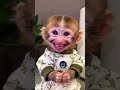 Cute Baby Monkey Smile