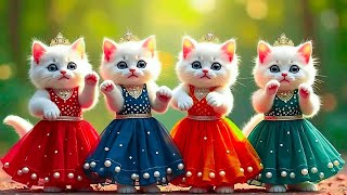 Download lagu बिल्ली डांस | Cutest Cat videos funny dance🤣💃Dance Videos for cats #funny #dancingcat #cat #cute mp3 Download lagu बिल्ली डांस | Cutest Cat videos funny dance🤣💃Dance Videos for cats #funny #dancingcat #cat #cute mp3
