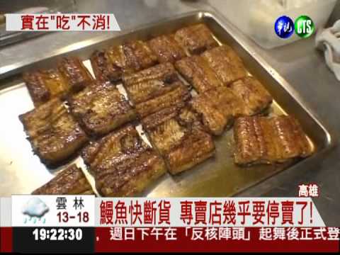 鰻苗貴翻了! 鰻魚專賣店恐關門