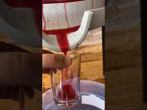 Grifo Hava Basıncı ile Çalışan Pnömatik Balonlu Pres 40 Litre ile Nar Suyu Üretimi Çok basit