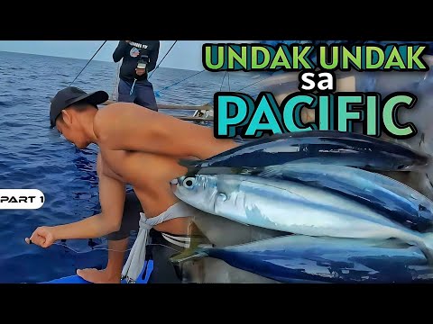 P1-Undak Undak sa Pacific - EP1084