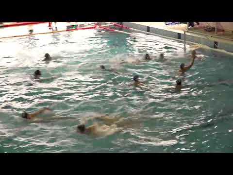 AVUS - Eszterházy SC értékelő - Gortva Zoltán