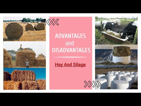 , title : 'ADVANTAGES and DISADVANTAGES of hay and Silage'