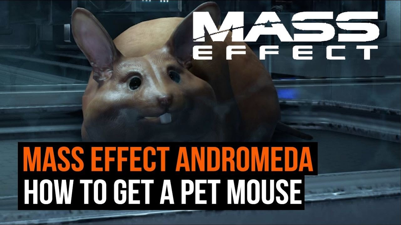 Mass Effect Andromeda - How to get a pet mouse - YouTube