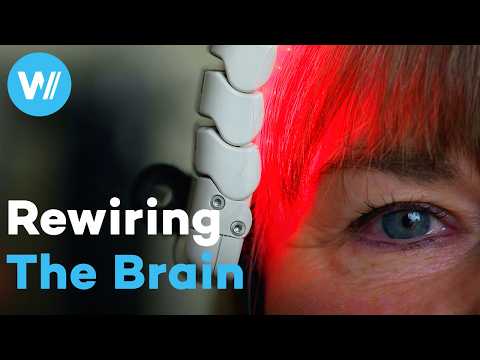 Neuroplasticity and the brain's incredible capacity of healing itself (Full documentary)