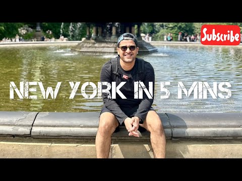 Exploring NEW YORK | The Concrete Jungle