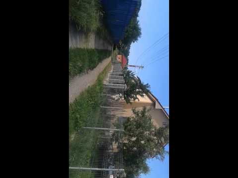 Prin Vâlcele. Partea 1