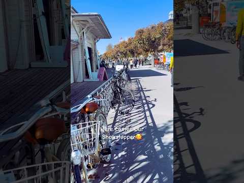 #nature #traveldiaries #explore #autumn #fallcolors #showstopper #colors #beautiful #happiness #love