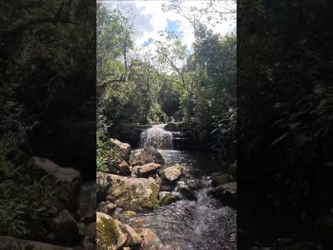 Chapada dos Vaga-lumes, Poço das Andorinhas e Poço dos Morcegos
