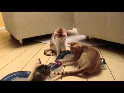 Betty, Ralph, Alex und Mariluz