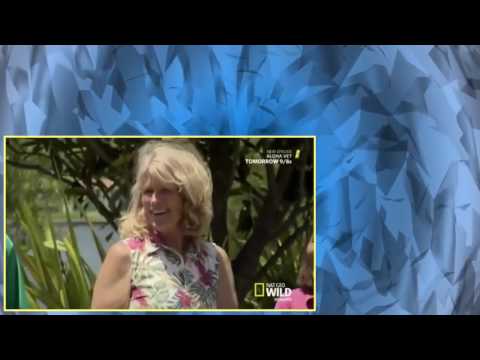 Cesar 911 S02E05 Tasi The Terrible HDTV x264 eSc