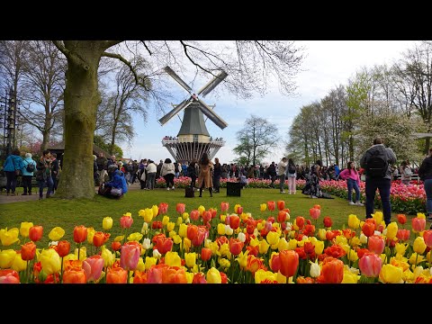 Keukenhof 2023