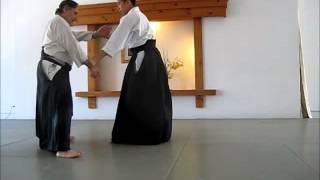 preview picture of video 'Gordon Wormser - September 14, 2013 Class at Aikido of Park Slope'