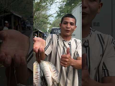 Venta de pescado en la apartada, Córdoba 🇨🇴 #shortsviral #shorts
