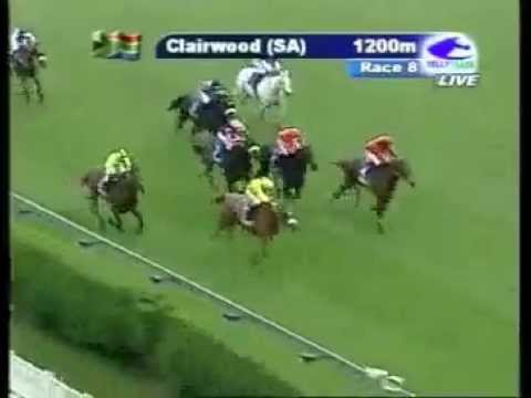 2012-10-10 Clairwood - race 8