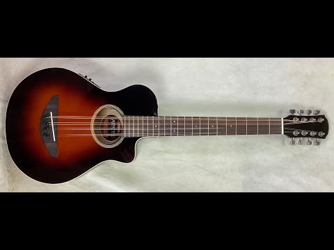 Octave mandolin conversion of Yamaha APXT2 Acoustic/Electric 1/2 size guitar image 5